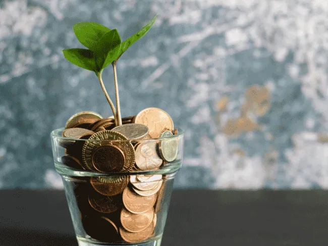Capitalists and Entrepreneurs